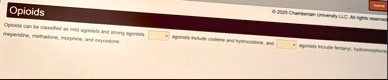 opioids 2021 chamberlain university llc all rights reserved opioids can be classified as mild agonists and strong agonists agonists include codeine and hydrocodone and meperidine methadone m 81939