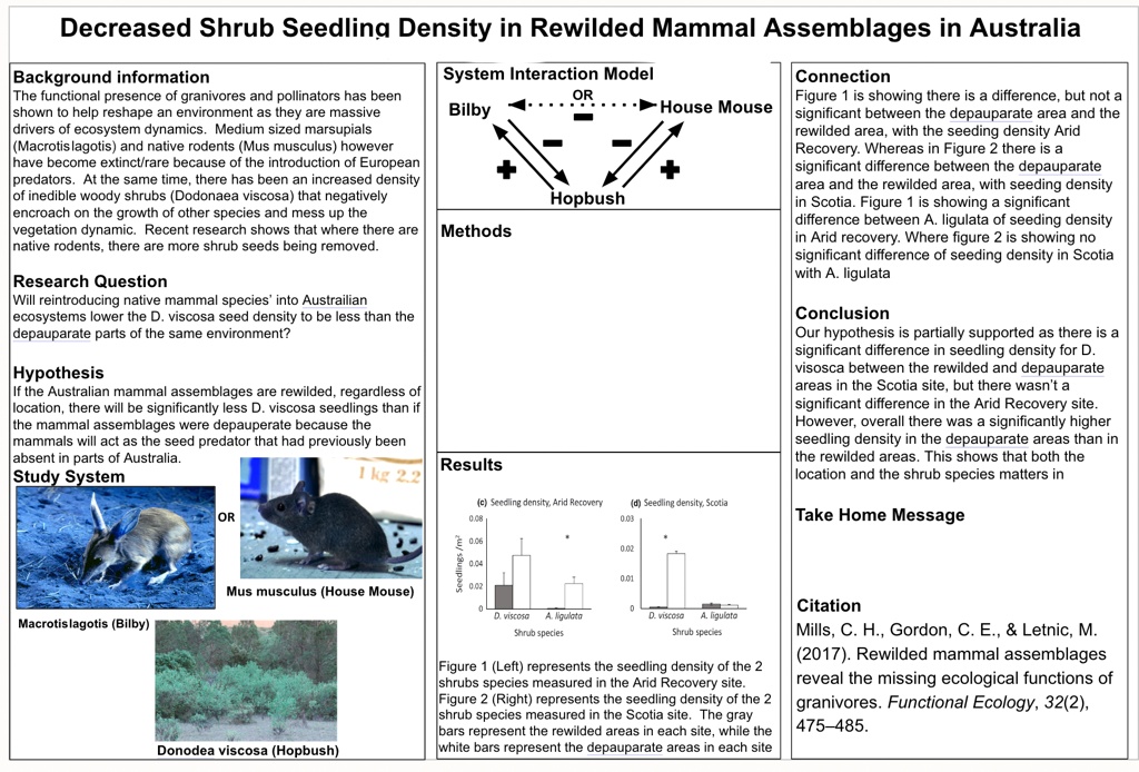 rewilded mammal assemblages reveal the missing ecological functions of ...