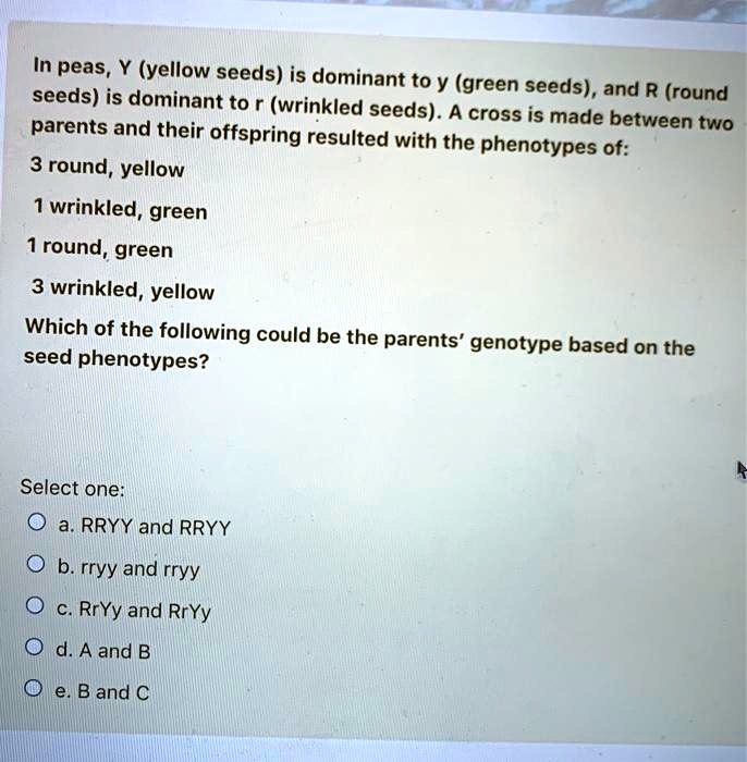 In peas, Y (yellow seeds) is dominant to y (green seeds), and R (round
seeds) is dominant to r (wrinkled seeds). A cross is made between two
parents and their offspring resulted with the phenotypes of:
3 round, yellow
1 wrinkled, green
1 round, green
3 wrinkled, yellow
Which of the following could be the parents' genotype based on the
seed phenotypes?
Select one:
a. RRYY and RRYY
b. rryy and rryy
c. RrYy and RrYy
d. A and B
e. B and C