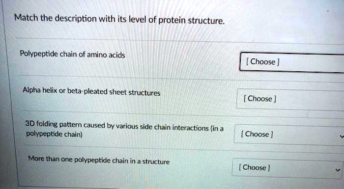 Match the description with its level of protein structure.
Polypeptide chain of amino acids
Alpha helix or beta-pleated sheet structures
3D folding pattern caused by various side chain interactions (in a polypeptide chain)
More than one polypeptide chain in a structure