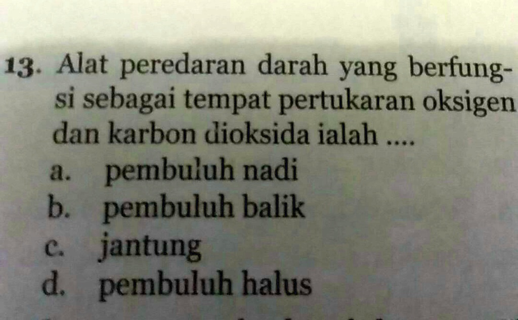 SOLVED: Alat peredaran darah yang berfungsi sebagai tempat pertukaran ...