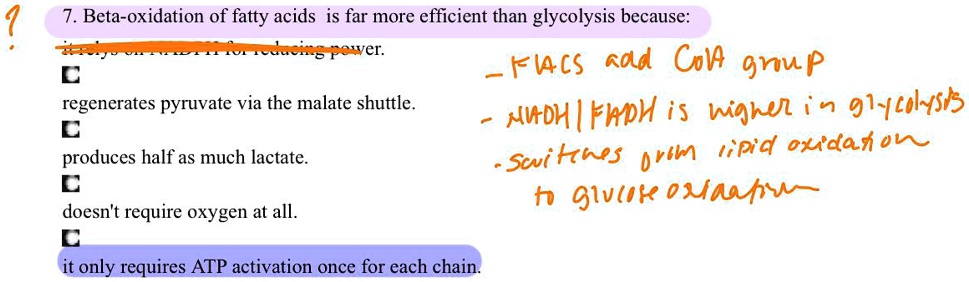 7. Beta-oxidation of fatty acids is far more efficient than glycolysis because:
regenerates pyruvate via the malate shuttle.
produces half as much lactate.
doesn't require oxygen at all.
it only requires ATP activation once for each chain.
- FACS add CoA group
- NADH/FADH is higher in glycolysis
- switches from lipid oxidation to glucose oxidation