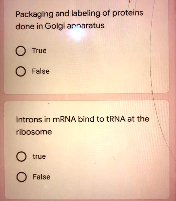 SOLVED Packaging and labeling of proteins are done in the Golgi