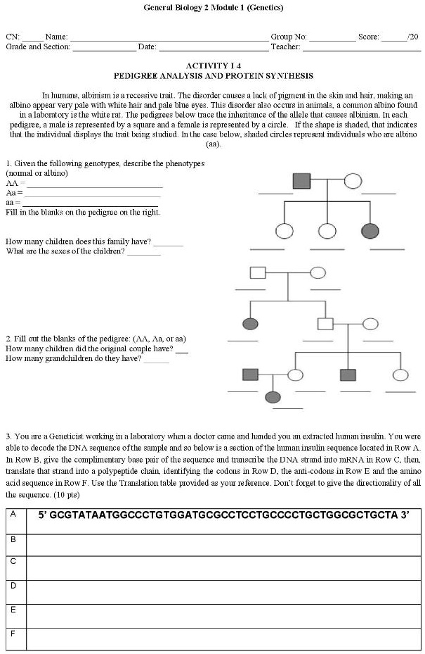 General Biology 2 Module 1 (Genetics)

CN:  Name:  Group No:  Score:  /20
Grade and Section:  Date:  Teacher: 

ACTIVITY 1.4
PEDIGREE ANALYSIS AND PROTEIN SYNTHESIS

In humans, albinism is a recessive trait. The disorder causes a lack of pigment in the skin and hair, making an albino appear very pale with white hair and pale blue eyes. This disorder also occurs in animals, a common albino found in a laboratory is the white rat. The pedigrees below trace the inheritance of the allele that causes albinism. In each pedigree, a male is represented by a square and a female is represented by a circle. If the shape is shaded, that indicates that the individual displays the trait being studied. In the case below, shaded circles represent individuals who are albino (aa).

1. Given the following genotypes, describe the phenotypes (normal or albino)
AA = 
Aa = 
aa = 
Fill in the blanks on the pedigree on the right.

How many children does this family have? 
What are the sexes of the children? 

2. Fill out the blanks of the pedigree: (AA, Aa, or aa)
How many children did the original couple have? 
How many grandchildren do they have? 

3. You are a Geneticist working in a laboratory when a doctor came and handed you an extracted human insulin. You were able to decode the DNA sequence of the sample and so below is a section of the human insulin sequence located in Row A. In Row B, give the complimentary base pair of the sequence and transcribe the DNA strand into mRNA in Row C, then, translate that strand into a polypeptide chain, identifying the codons in Row D, the anti-codons in Row E and the amino acid sequence in Row F. Use the Translation table provided as your reference. Don't forget to give the directionality of all the sequence. (10 pts)

A 5' GCGTATAATGGCCCTGTGGATGCGCCTCCTGCCCCTGCTGGCGCTGCTA 3'