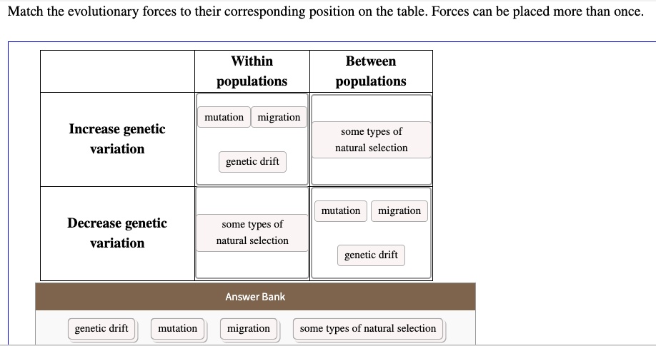 Match the evolutionary forces to their corresponding position on the table. Forces can be placed more than once.
Within populations
Between populations
Increase genetic variation
mutation
migration
genetic drift
some types of natural selection
Decrease genetic variation
some types of natural selection
mutation
migration
genetic drift
Answer Bank
genetic drift
mutation
migration
some types of natural selection