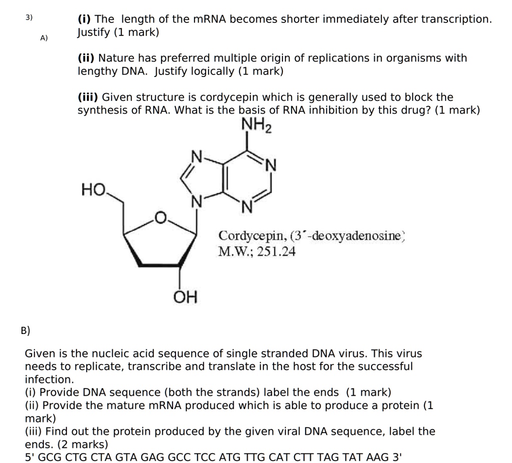 SOLVED Please explain all the steps involved in part B 3) (i) The