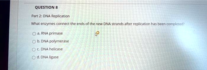 QUESTION 8
Part 2: DNA Replication
What enzymes connect the ends of the new DNA strands after replication has been completed?
a. RNA primase
b. DNA polymerase
c. DNA helicase
d. DNA ligase