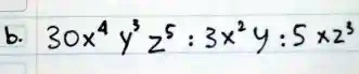 gox y 5 3xy5 x29 02792