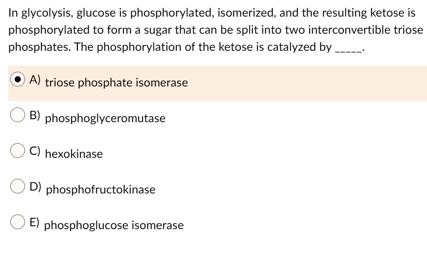 In glycolysis, glucose is phosphorylated, isomerized, and the resulting ketose is phosphorylated to form a sugar that can be split into two interconvertible triose phosphates. The phosphorylation of the ketose is catalyzed by .
A) triose phosphate isomerase
B) phosphoglyceromutase
C) hexokinase
D) phosphofructokinase
E) phosphoglucose isomerase