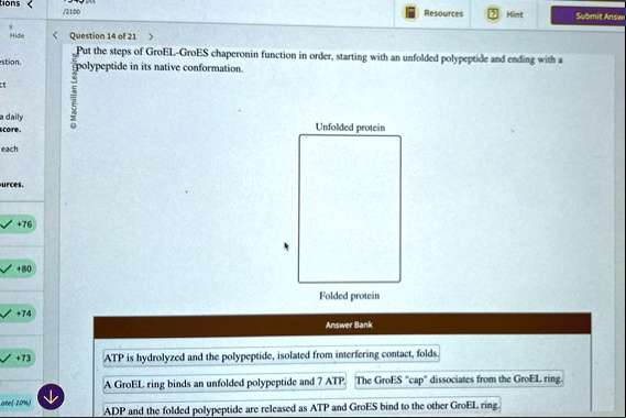 2100 resources hint submit answ hide question 14 of 21 put the steps of groel groes chaperonin function in order starting with an unfolded polypeptide and ending with a polypeptide in its na 71913