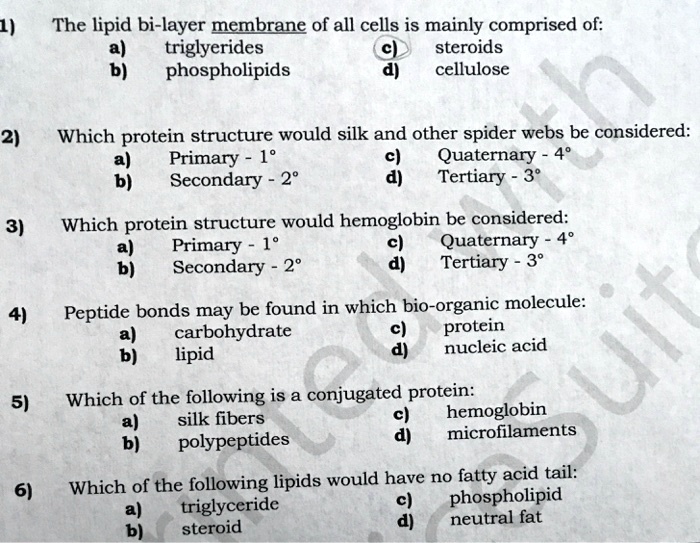 1)
The lipid bi-layer membrane of all cells is mainly comprised of:
a) triglyerides
c) steroids
b) phospholipids
d) cellulose
2)
Which protein structure would silk and other spider webs be considered:
a) Primary - 1°
c) Quaternary - 4°
b) Secondary - 2°
d) Tertiary - 3°
3)
Which protein structure would hemoglobin be considered:
a) Primary - 1°
c) Quaternary -4°
b) Secondary - 2°
d) Tertiary - 3°
4)
Peptide bonds may be found in which bio-organic molecule:
a) carbohydrate
c) protein
b) lipid
d) nucleic acid
5)
Which of the following is a conjugated protein:
a) silk fibers
c) hemoglobin
b) polypeptides
d) microfilaments
6)
Which of the following lipids would have no fatty acid tail:
a) triglyceride
c) phospholipid
b) steroid
d) neutral fat