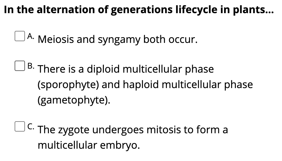In the alternation of generations lifecycle in plants...
A. Meiosis and syngamy both occur.
B. There is a diploid multicellular phase (sporophyte) and haploid multicellular phase (gametophyte).
C. The zygote undergoes mitosis to form a multicellular embryo.