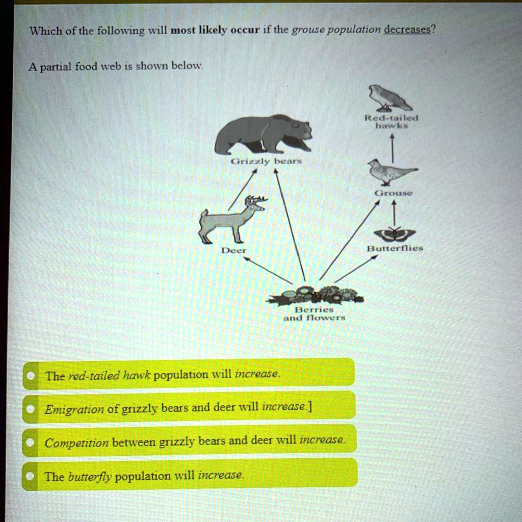 SOLVED: 'a partial food web is show below Which of the following will ...