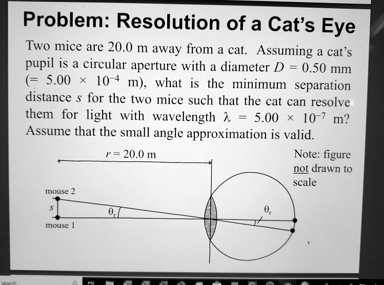 Problem: Resolution of a Cat's Eye
Two mice are 20.0 m away from a cat. Assuming a cat's pupil is a circular aperture with a diameter D = 0.50 mm (= 5.00    times; 10? m), what is the minimum separation distance s for the two mice such that the cat can resolve them for light with wavelength ? = 5.00    times; 10? m? Assume that the small angle approximation is valid.
r = 20.0 m
Note: figure not drawn to scale
mouse 2
s
?r
mouse 1
