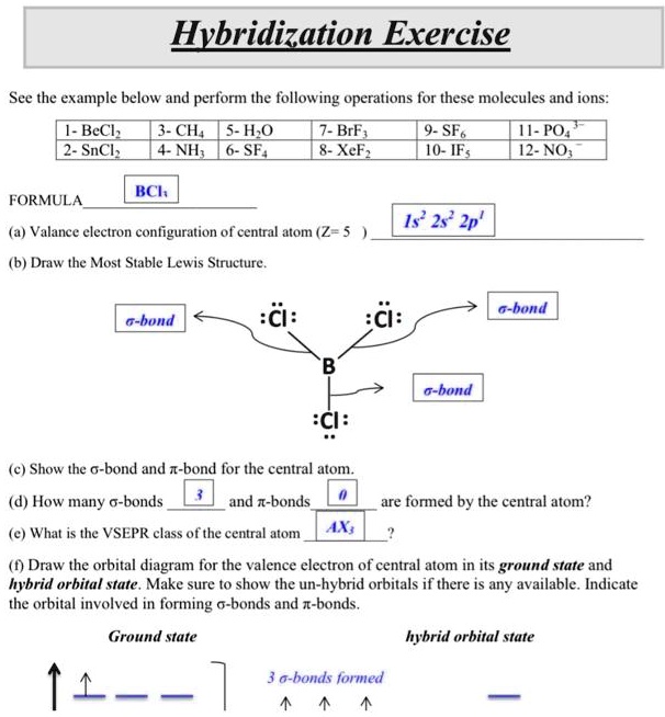 Solved Hybridization Exercise See The Example Below And Perform The