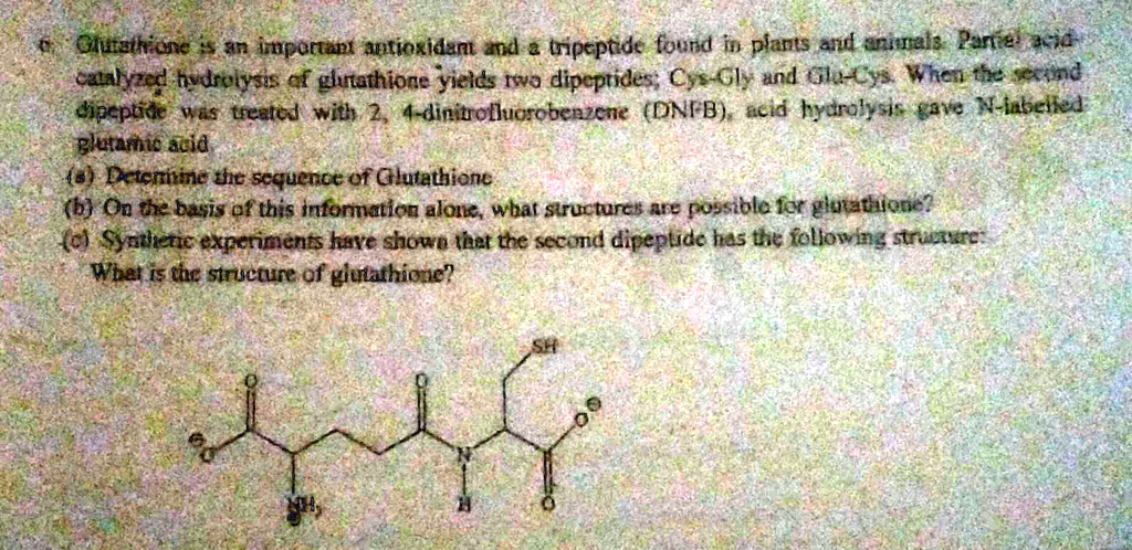 glutathione rich fruits for skin whitening Glutathione with Cofactors — Seeking Health