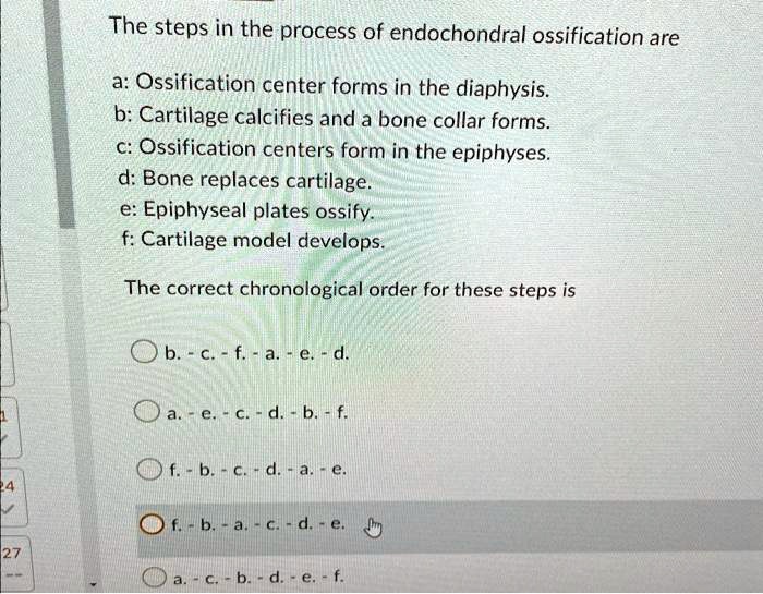 SOLVED: The steps in the process of endochondral ossification are: a