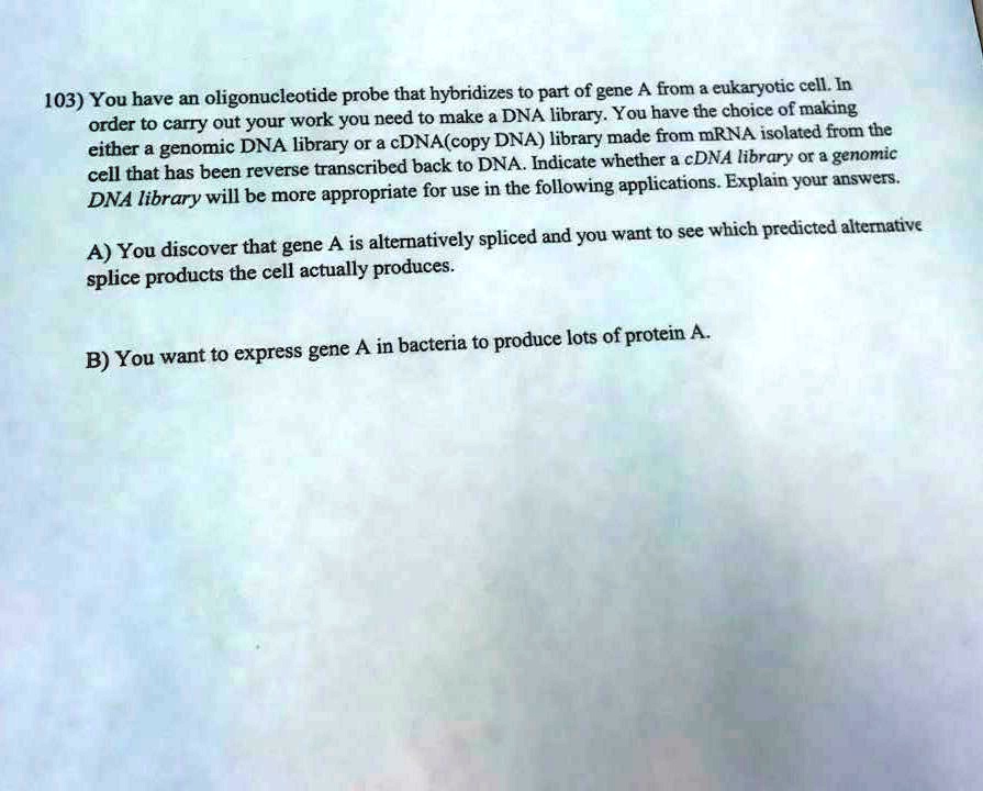 103) You have an oligonucleotide probe that hybridizes to part of gene A from a eukaryotic cell. In order to carry out your work you need to make a DNA library. You have the choice of making either a genomic DNA library or a cDNA(copy DNA) library made from mRNA isolated from the cell that has been reverse transcribed back to DNA. Indicate whether a cDNA library or a genomic DNA library will be more appropriate for use in the following applications. Explain your answers.
A) You discover that gene A is alternatively spliced and you want to see which predicted alternative splice products the cell actually produces.
B) You want to express gene A in bacteria to produce lots of protein A.