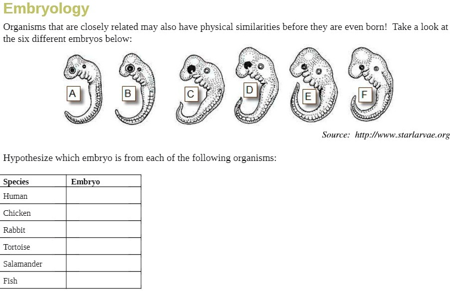 SOLVED: Embryology: Organisms that are closely related may also have ...