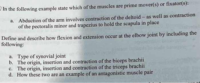 Which of the following pair of muscles have their insertion on the