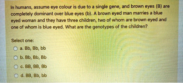 Solved In Humans Assume Eye Colour Is Due To A Single Gene And Brown Eyes B Are Completely 8212