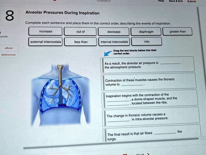 solved-x3mg-n-submit-n-alveolar-pressures-during-inspiration-8