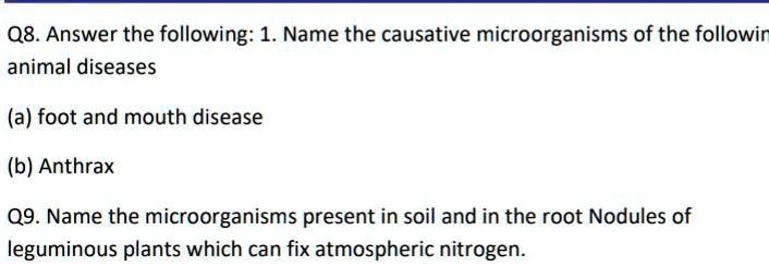 SOLVED: 'If you can answer then Answer 08. Answer the following: 1. Name  the causative microorganisms of the followir animal diseases (a) foot and  mouth disease (b) Anthrax 09. Name the microorganisms