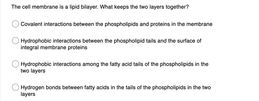 The cell membrane is a lipid bilayer. What keeps the two layers together?
Covalent interactions between the phospholipids and proteins in the membrane
Hydrophobic interactions between the phospholipid tails and the surface of
integral membrane proteins
Hydrophobic interactions among the fatty acid tails of the phospholipids in the
two layers
Hydrogen bonds between fatty acids in the tails of the phospholipids in the two
layers