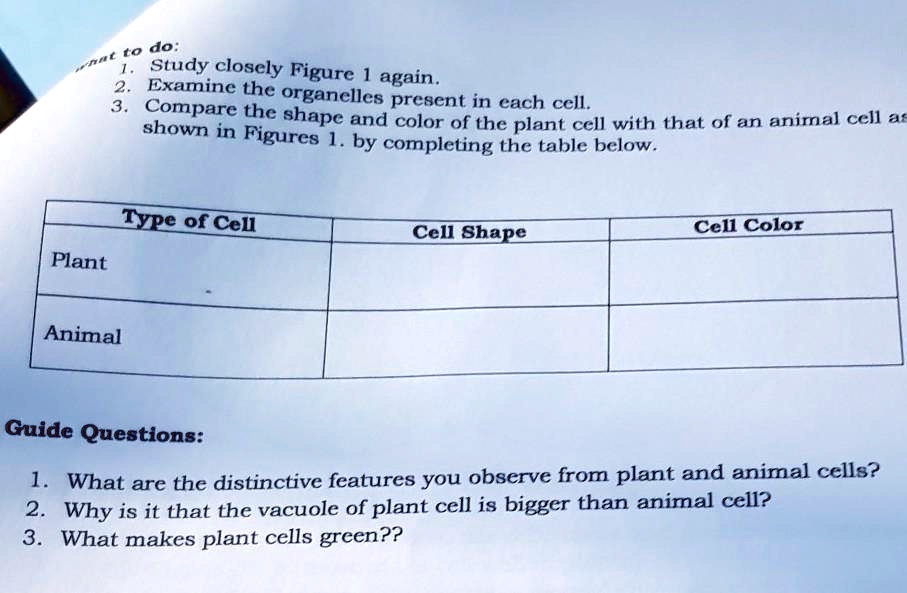 SOLVED: 'pleung the table  of CellCell ShapeCell  ColorPlantAnimalpls po need ko na po yung sagot t0 do: Study closely Figurc  again . Examinc the organclles- Compare thc present in cach ccll