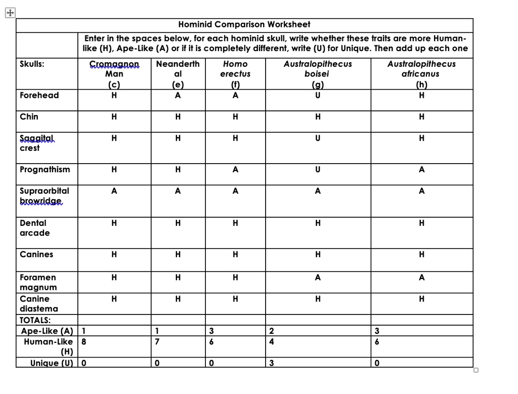 SOLVED:Hominid Comparison Worksheet Enter in the spaces below, for each ...