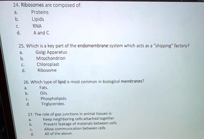 24. Ribosomes are composed of:
a. Proteins
b. Lipids
c. RNA
d. A and C
25. Which is a key part of the endomembrane system which acts as a "shipping" factory?
a. Golgi Apparatus
b. Mitochondrion
c. Chloroplast
d. Ribosome
26. Which type of lipid is most common in biological membranes?
a. Fats.
b. Oils.
c. Phospholipids.
d. Triglycerides.
27. The role of gap junctions in animal tissues is:
a. Keep neighboring cells attached together
b. Prevent leakage of materials between cells
c. Allow communication between cells
d. All of the above.