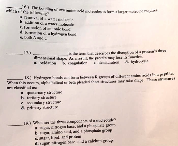 SOLVED: 16.) The bonding - which of the of two amino acid molecules to ...