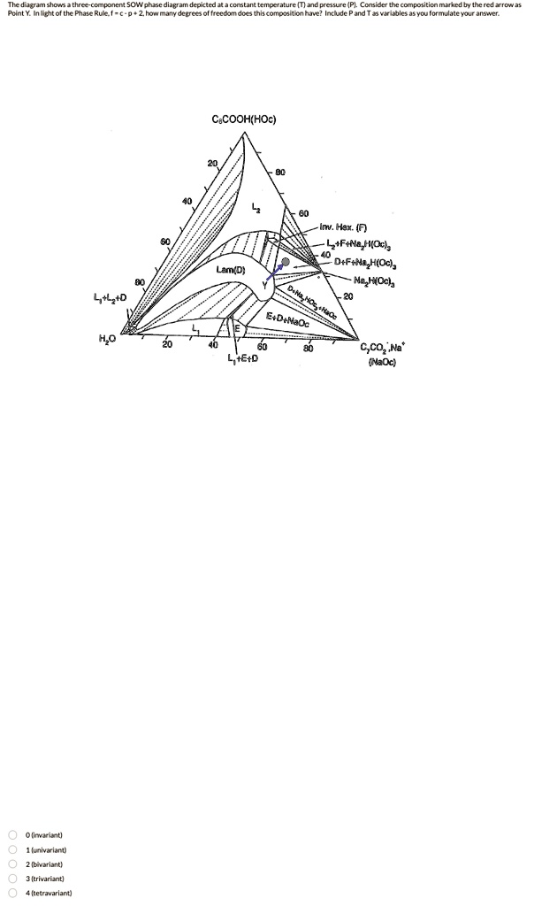 SOLVED: The diagram shows a three-component system at Point Y. In light ...