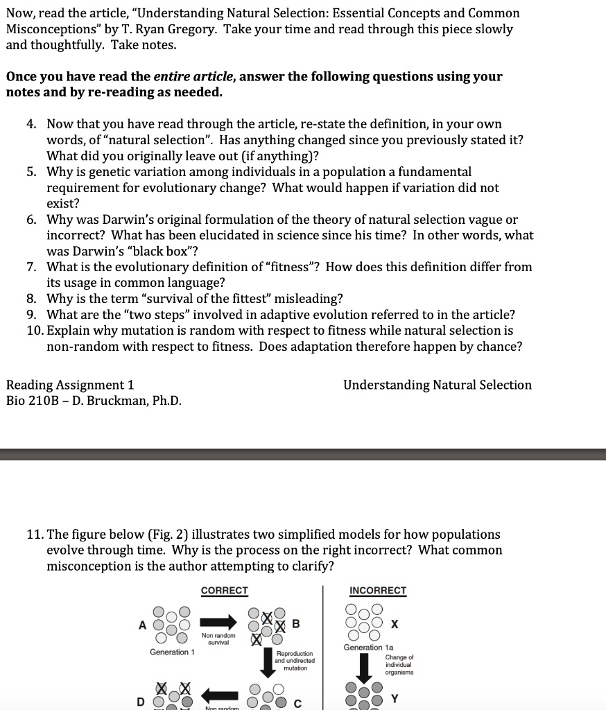 Now, read the article, "Understanding Natural Selection: Essential Concepts and Common Misconceptions" by T. Ryan Gregory. Take your time and read through this piece slowly and thoughtfully. Take notes.

Once you have read the entire article, answer the following questions using your notes and by re-reading as needed.

4. Now that you have read through the article, re-state the definition, in your own words, of "natural selection". Has anything changed since you previously stated it? What did you originally leave out (if anything)?
5. Why is genetic variation among individuals in a population a fundamental requirement for evolutionary change? What would happen if variation did not exist?
6. Why was Darwin's original formulation of the theory of natural selection vague or incorrect? What has been elucidated in science since his time? In other words, what was Darwin's "black box"?
7. What is the evolutionary definition of "fitness"? How does this definition differ from its usage in common language?
8. Why is the term "survival of the fittest" misleading?
9. What are the "two steps" involved in adaptive evolution referred to in the article?
10. Explain why mutation is random with respect to fitness while natural selection is non-random with respect to fitness. Does adaptation therefore happen by chance?

11. The figure below (Fig. 2) illustrates two simplified models for how populations evolve through time. Why is the process on the right incorrect? What common misconception is the author attempting to clarify?