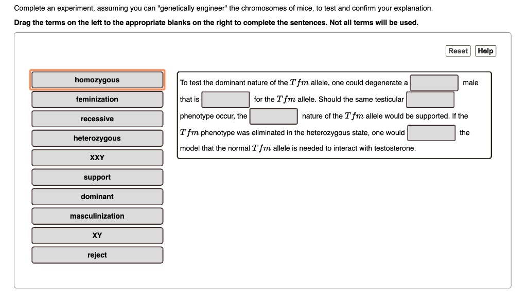 Complete an experiment, assuming you can "genetically engineer" the chromosomes of mice, to test and confirm your explanation.
Drag the terms on the left to the appropriate blanks on the right to complete the sentences. Not all terms will be used.

Reset Help
homozygous
feminization
recessive
heterozygous
XXY
support
dominant
masculinization
XY
reject

To test the dominant nature of the Tfm allele, one could degenerate a [ ] male that is [ ] for the Tfm allele. Should the same testicular [ ] phenotype occur, the [ ] nature of the Tfm allele would be supported. If the Tfm phenotype was eliminated in the heterozygous state, one would [ ] the model that the normal Tfm allele is needed to interact with testosterone.