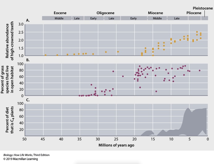 SOLVED: Pleistocene Pliocene Eocene Middle Oligocene Early Miocene ...