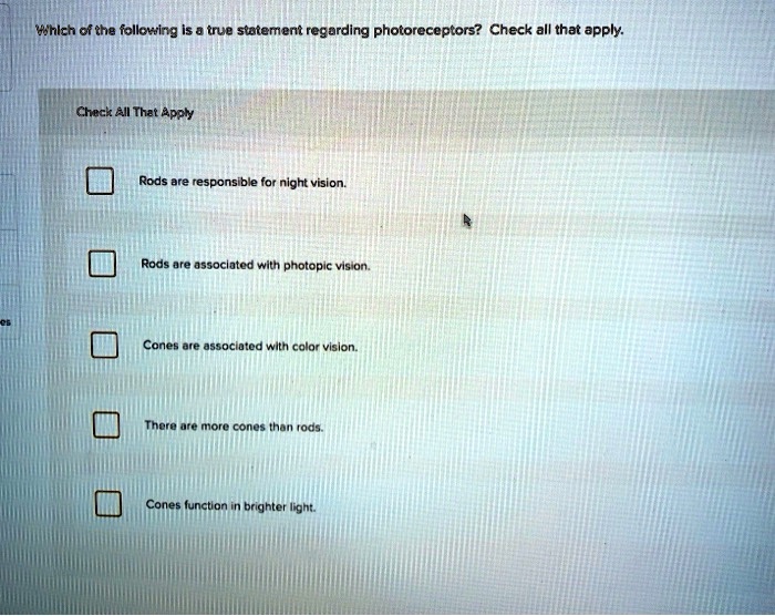 Which of the following is a true statement regarding photoreceptors? Check all that apply.
Rods are responsible for night vision.
Rods are associated with photopic vision.
Cones are associated with color vision.
There are more cones than rods.
Cones function in brighter light.