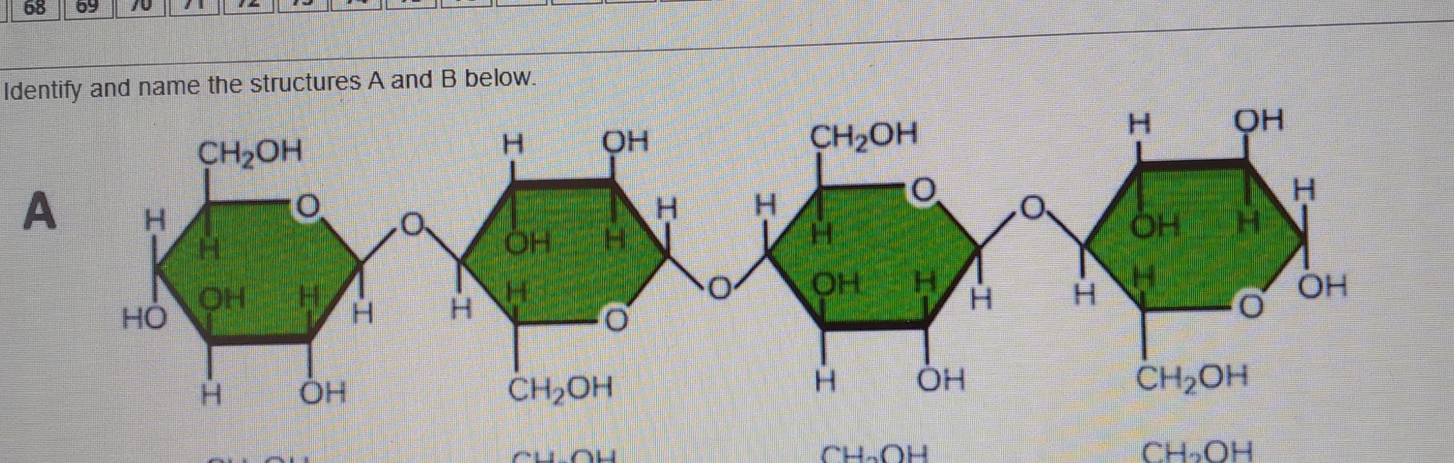 Identify And Name The Structures A And B Below. A