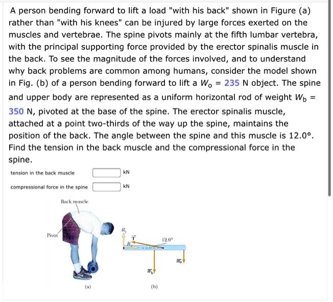 SOLVED: A person bending forward to lift a load 'with his back