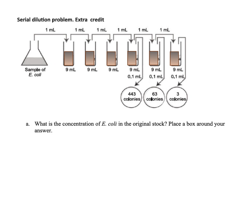 SOLVED Serial dilution problem Extra credit 1mL ML 1 ML 1 mL 1mL ML