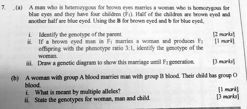7. (a) A man who is heterozygous for brown eyes marries a woman who is homozygous for blue eyes and they have four children (F1). Half of the children are brown eyed and another half are blue eyed. Using the B for brown eyed and b for blue eyed,
i. Identify the genotype of the parent. [2 marks]
ii. If a brown eyed man in F1 marries a woman and produces F2 offspring with the phenotype ratio 3:1, identify the genotype of the woman. [1 mark]
iii. Draw a genetic diagram to show this marriage until F2 generation. [3 marks]
(b) A woman with group A blood marries man with group B blood. Their child has group O blood.
i. What is meant by multiple alleles? [1 mark]
ii. State the genotypes for woman, man and child. [3 marks]