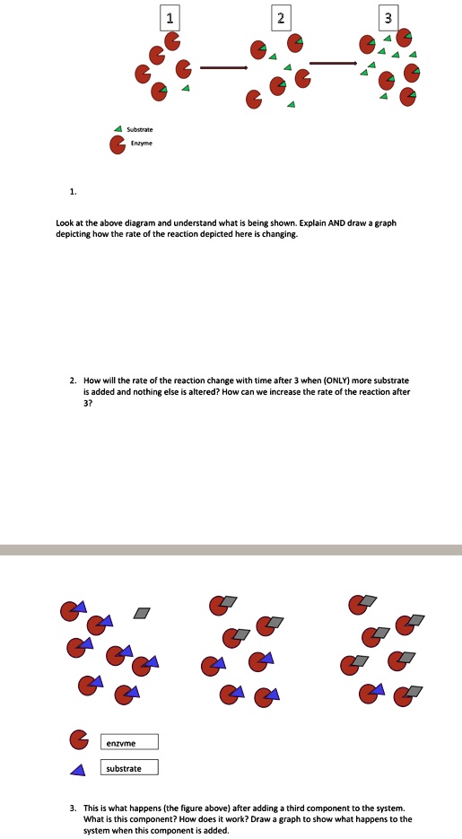 1 substrate enzyme 1 2 3 4 look at the above diagram and understand ...