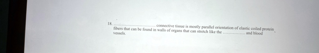 18.  connective tissue is mostly parallel orientation of elastic coiled protein fibers that can be found in walls of organs that can stretch like the  and blood vessels.