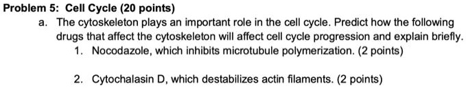 SOLVED: Problem5:Cell Cycle(20points a. The cytoskeleton plays an ...