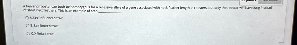A hen and rooster can both be homozygous for a recessive allele of a gene associated with neck feather length in roosters, but only the rooster will have long instead of short nect feathers. This is an example of a/an 
A. Sex-influenced trait
B. Sex-limited trait
C. X-linked trait