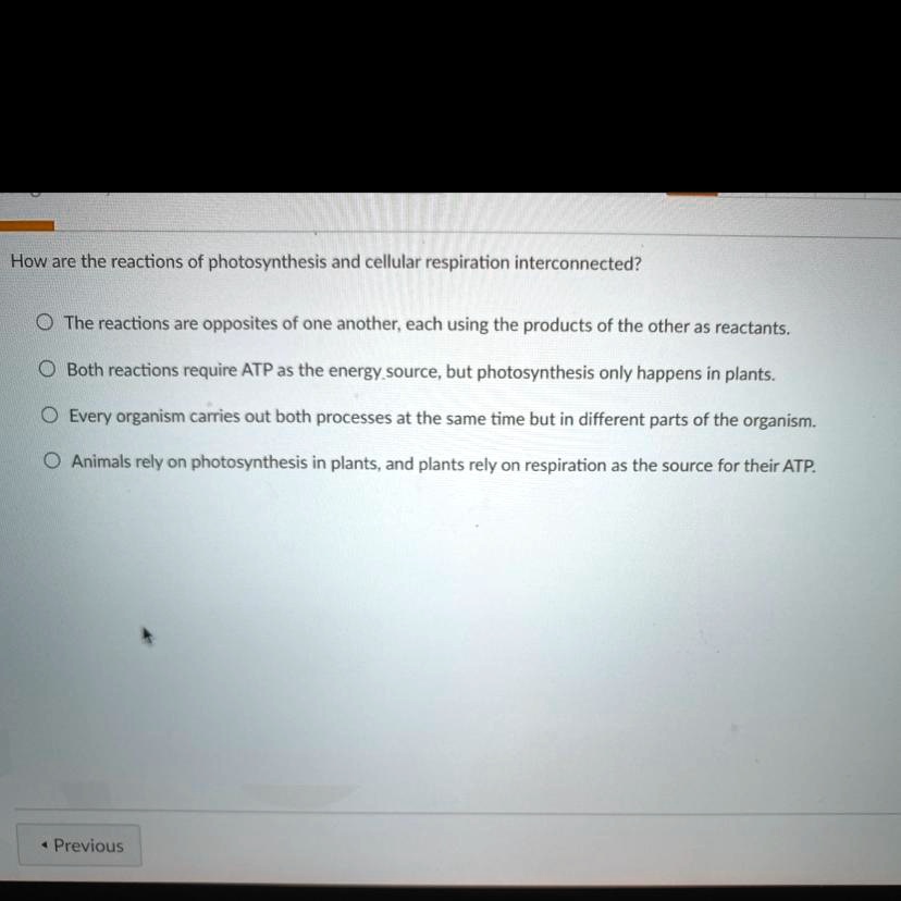 How Are Photosynthesis and Cellular Respiration Interconnected? The Life-Sustaining Cycle That Powers Every Organism