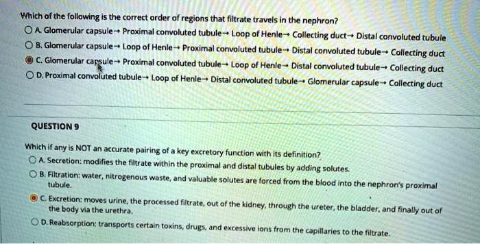 Which of the following is the correct order of regions that filtrate travels in the nephron?
A. Glomerular capsule ? Proximal convoluted tubule ? Loop of Henle ? Collecting duct ? Distal convoluted tubule
B. Glomerular capsule ? Loop of Henle ? Proximal convoluted tubule ? Distal convoluted tubule ? Collecting duct
C. Glomerular capsule ? Proximal convoluted tubule ? Loop of Henle ? Distal convoluted tubule ? Collecting duct
D. Proximal convoluted tubule ? Loop of Henle ? Distal convoluted tubule ? Glomerular capsule ? Collecting duct

QUESTION 9
Which if any is NOT an accurate pairing of a key excretory function with its definition?
A. Secretion: modifies the filtrate within the proximal and distal tubules by adding solutes.
B. Filtration: water, nitrogenous waste, and valuable solutes are forced from the blood into the nephron's proximal tubule.
C. Excretion: moves urine, the processed filtrate, out of the kidney, through the ureter, the bladder, and finally out of the body via the urethra.
D. Reabsorption: transports certain toxins, drugs, and excessive ions from the capillaries to the filtrate.