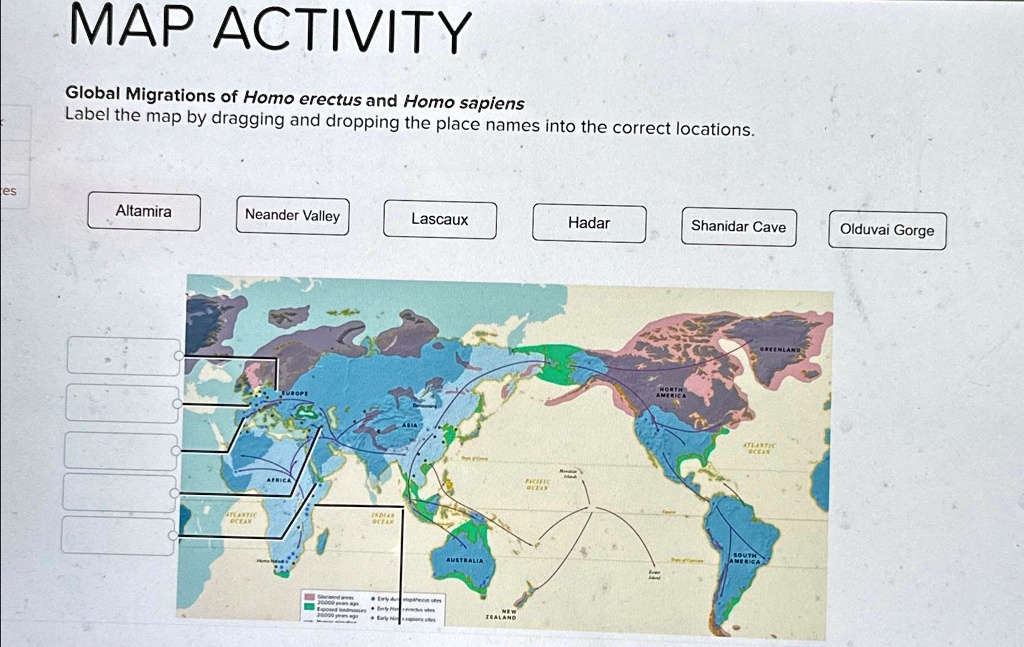 SOLVED: MAP ACTIVITY Global Migrations of Homo Label the map by ...