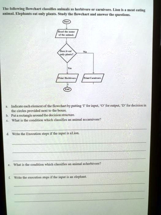 solved-the-iollan-ing-mowchart-cussller-animala-herbivore-carnivore