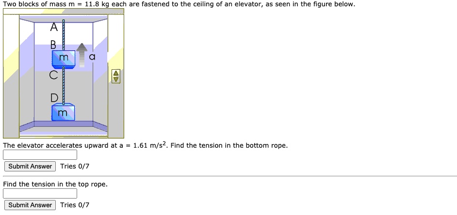 SOLVED: Two blocks of mass m 11.8 kg each are fastened to the ceiling ...